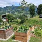 Apartment Retro Kitzbuhel