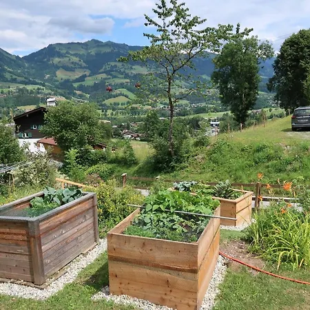 Daire Retro Kitzbühel