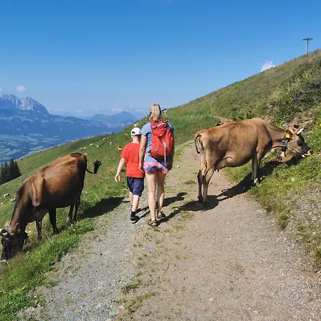 Retro Kitzbuhel